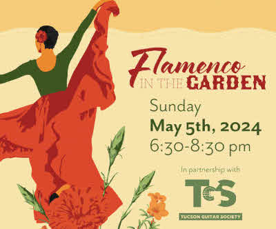 Flamenco in the Garden at Tohono Chul