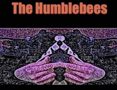 HumbleBees