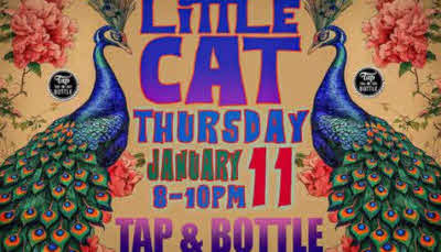 Little Cat at the Tap and Bottle