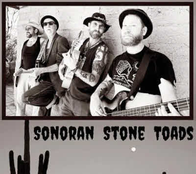 Sonoran Stone Toads