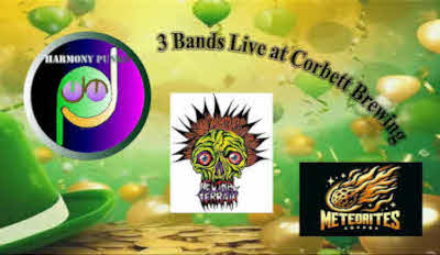 St Patricks Day Music Bash with Harmony Punks Neutral Terrain and The Meteorites