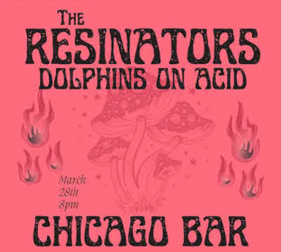 The Resinators Dolphins on Acid at Chicago Bar